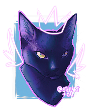 Pet Portrait Cat