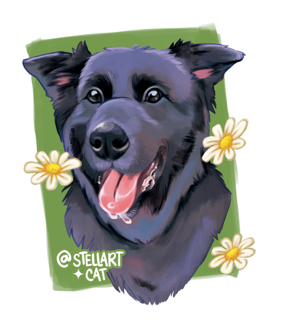 Pet Portrait Dog Pet Portrait Dog